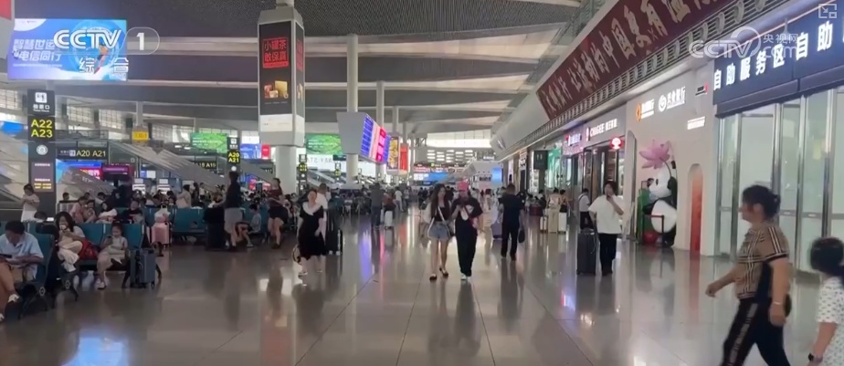 央视网